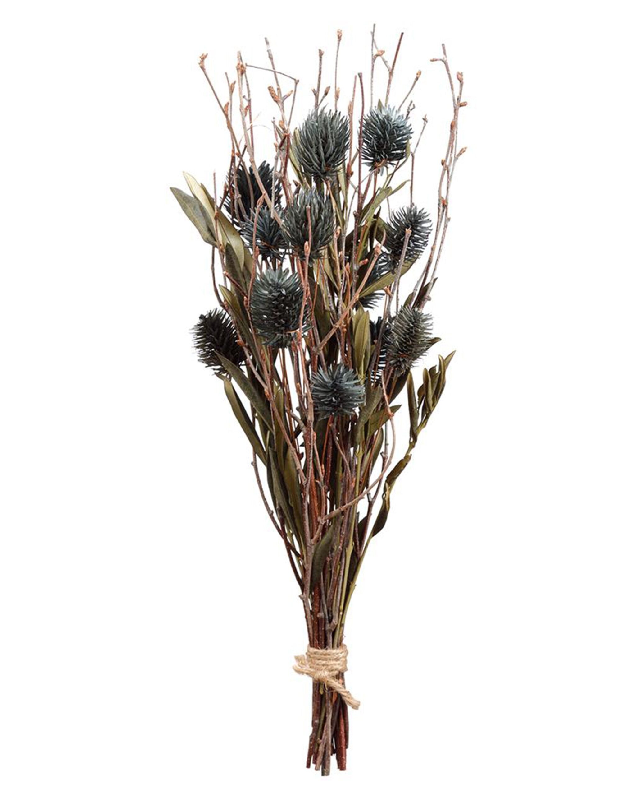 globe-thistle