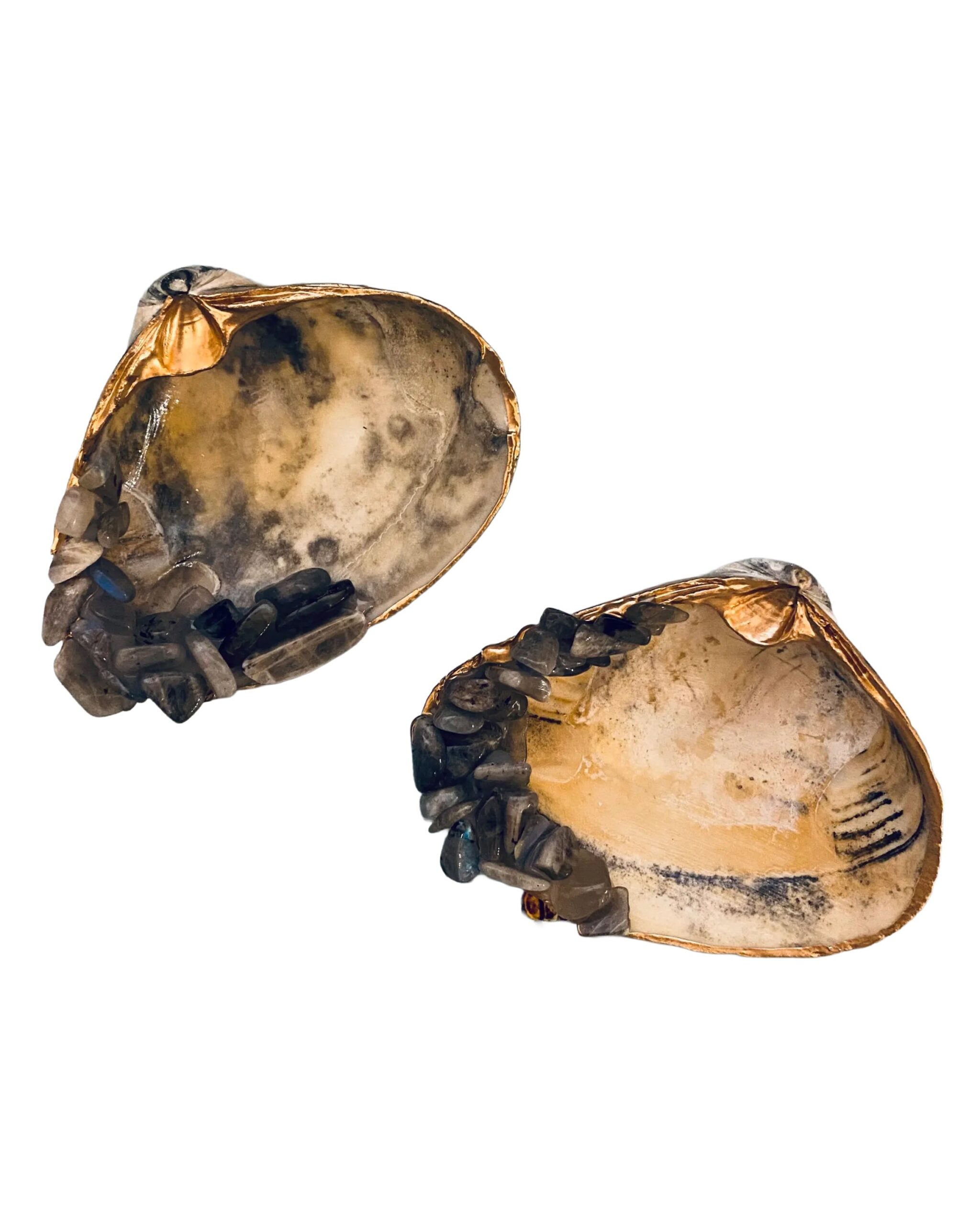 labradorite-shell