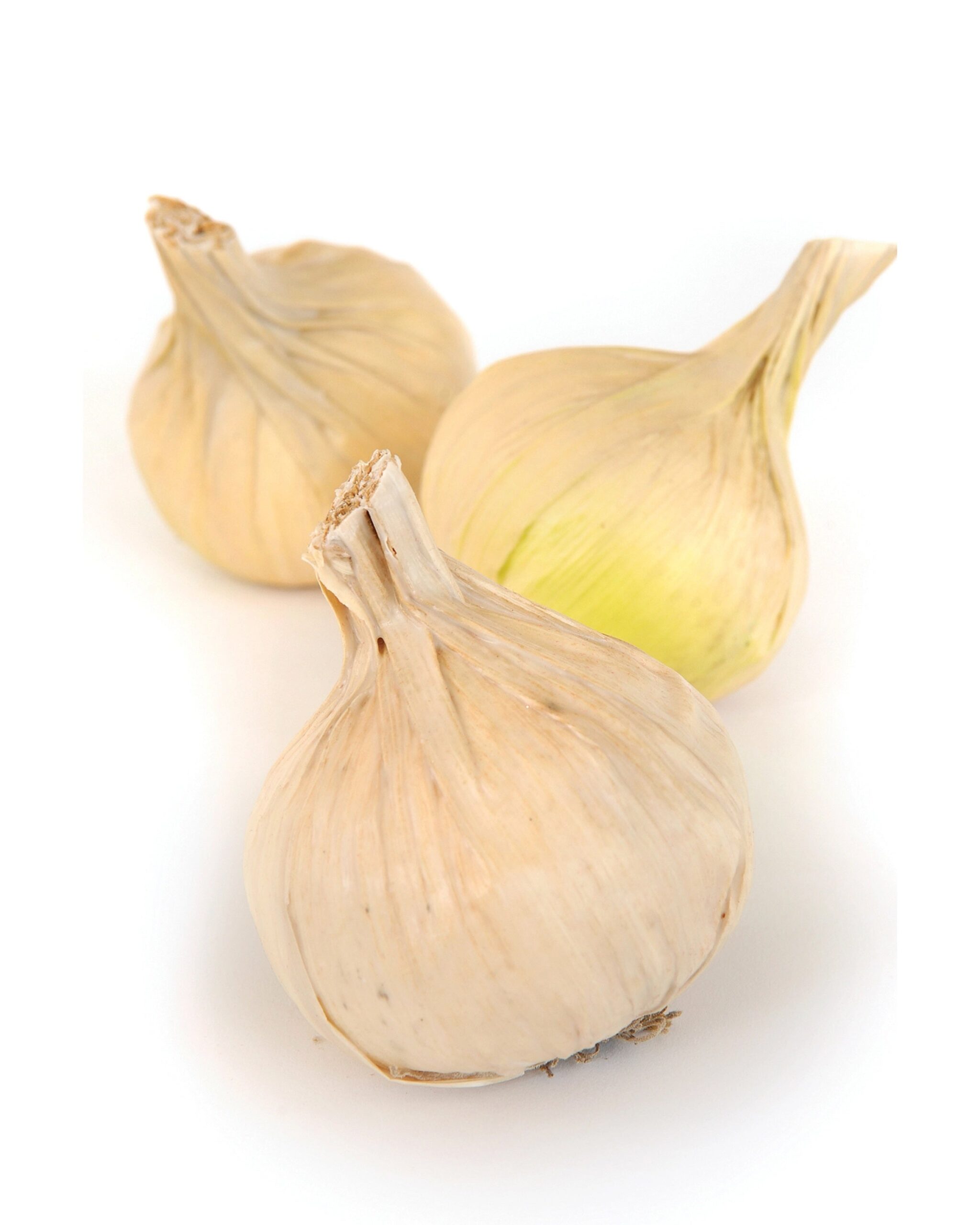 onion-decor
