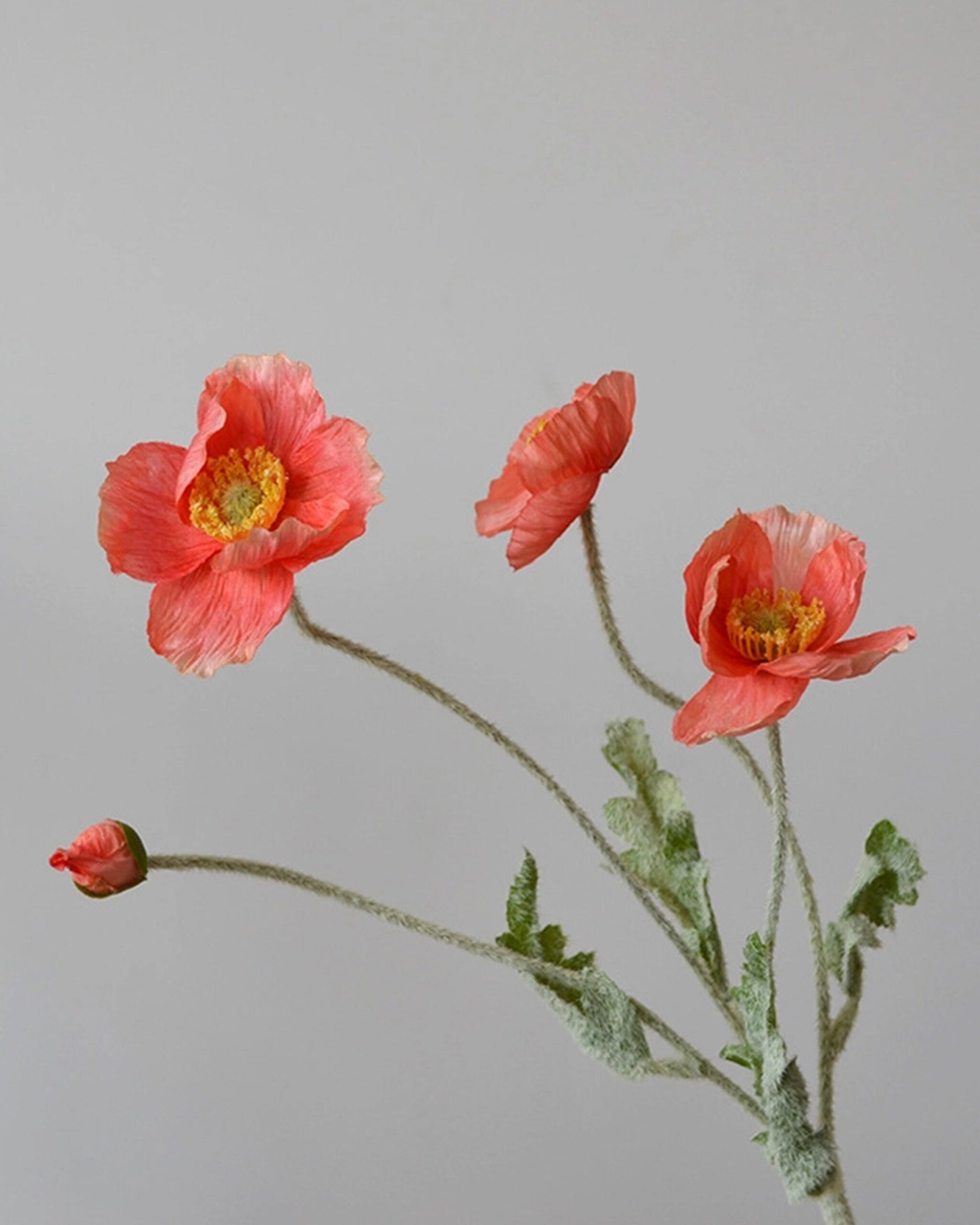 orange_poppy_faux